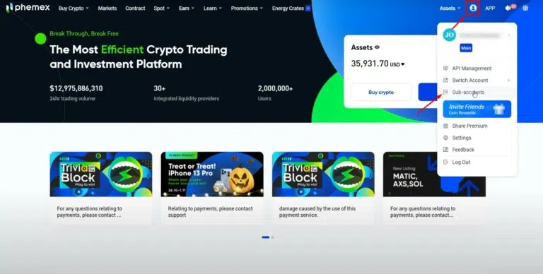 Субсчета phemex