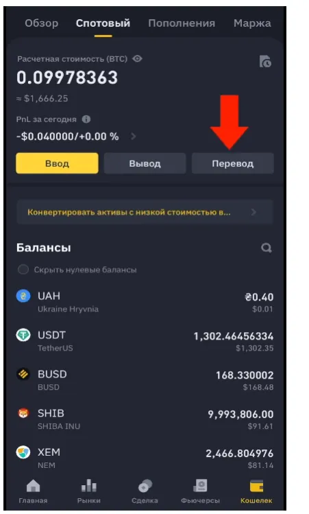 Настройка бота бинанс